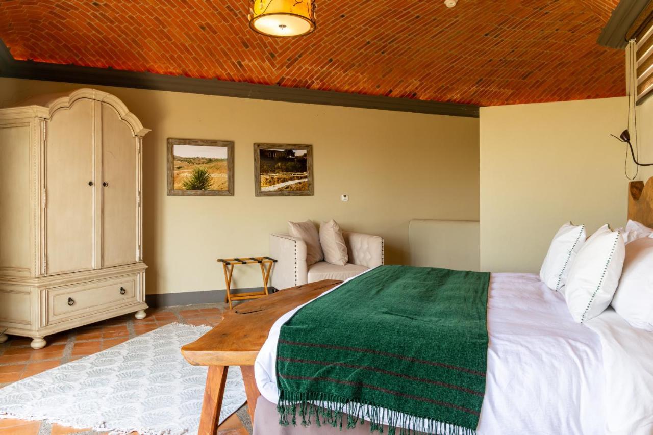 Hotel Camino De Vinos Guanajuato Kültér fotó
